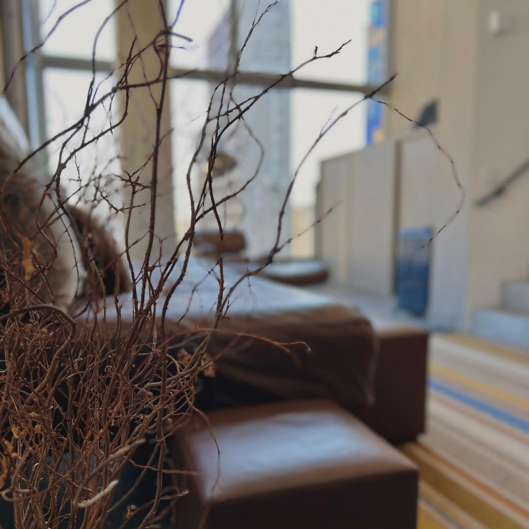 Prime - Prox A Oscar Freire, Jardins São Paulo
